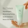 Beauty of Joseon Green Plum Refreshing Cleanser - Image 5