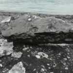 Full-cream Milk Powder 25kg Bag