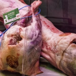Lamb Shoulder Bone-in 5kg Carton