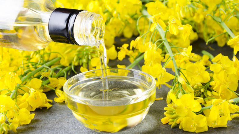 Pouring,Canola,Oil,Into,The,Glass,Bowl,Against,Rapeseed,Blossoms Canola (non-GM) (Bulk) - Image 1