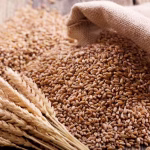 Durum Wheat (Bulk)