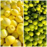 Lemons & Limes (Bulk)
