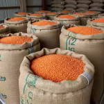 Lentils (Red) (Bulk)