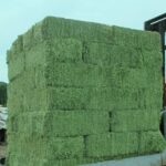 Lucerne Hay (Bulk)