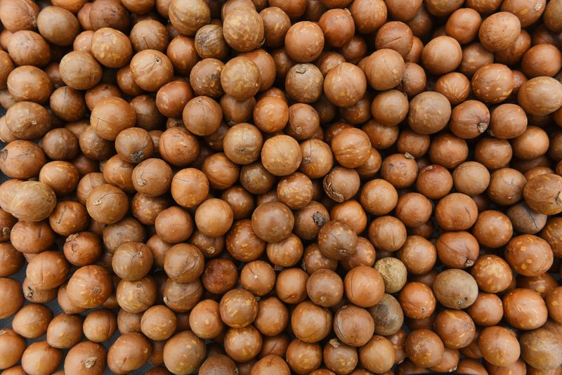 Macadamias-NIS Macadamias (NIS) (Bulk) - Image 1