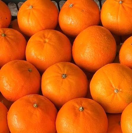 Mandarins Afourer-Murcott Mandarins (Afourer/Murcott) (Bulk) - Image 1