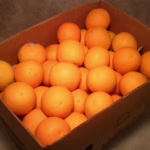 Navel Oranges (Bulk)