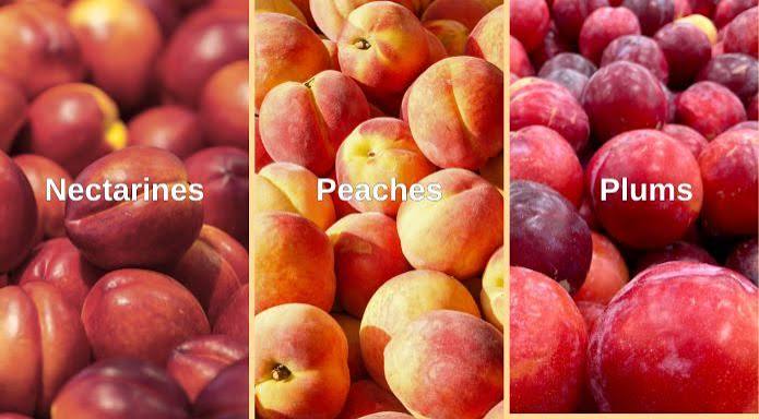 Stone Fruit -peach-plum-nectarine) Stone Fruit (peach/plum/nectarine) (Bulk) - Image 1