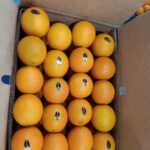 Valencia Oranges (Bulk)