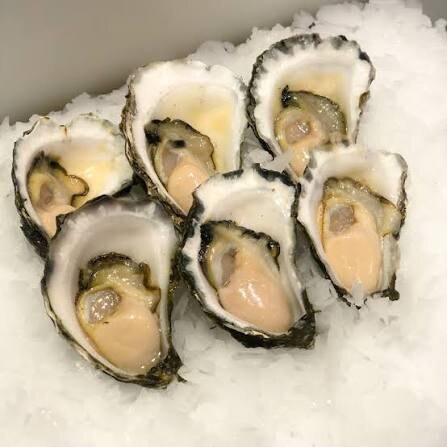 blue-mussels-live Blue Mussels (live) (Bulk) - Image 1