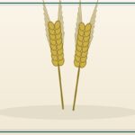Brewing Malt (Bulk)