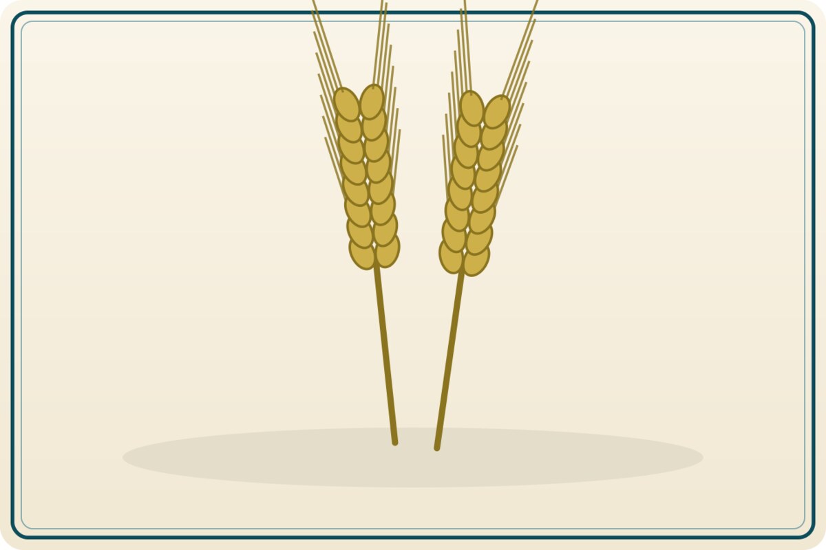 brewing-malt Brewing Malt (Bulk) - Image 1