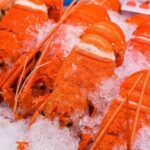 Eastern Rock Lobster (live) (Bulk)