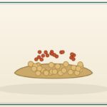 Field Peas (Bulk)