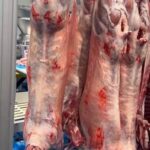 Goatmeat (Bulk)