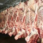 Kangaroo Meat (Bulk)