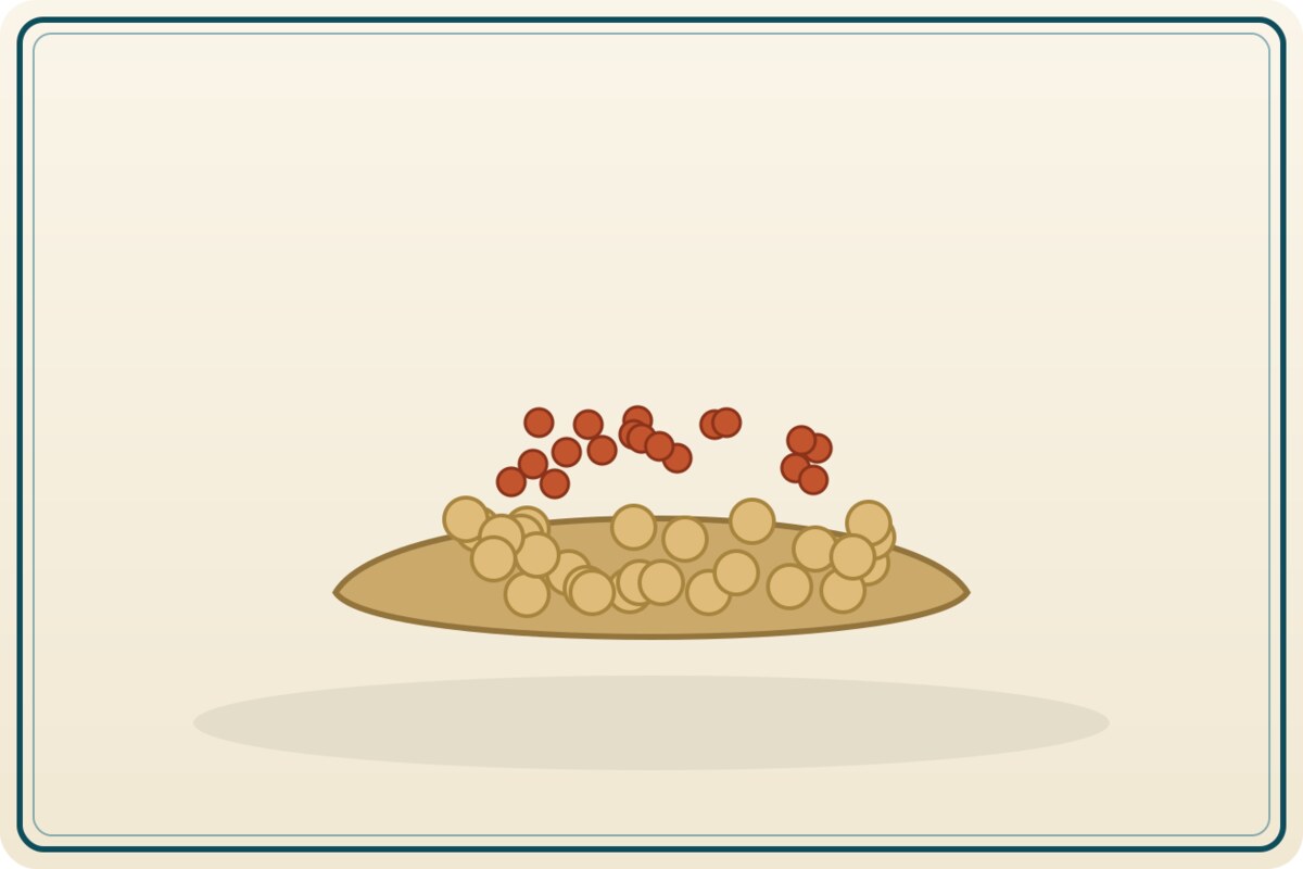 lentils-green Lentils (Green) (Bulk) - Image 1