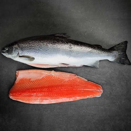 live-coral-trout Live Coral Trout (Bulk) - Image 1