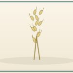 Oats (Feed) / Rolled (Bulk)