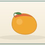 Rockmelon / Watermelon (Bulk)