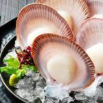 Scallops (meat / roe-on) (Bulk)
