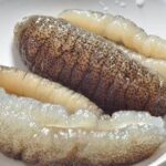 Sea Urchin Roe (uni) (Bulk)