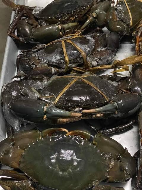 spanner-crab Spanner Crab (Bulk) - Image 1