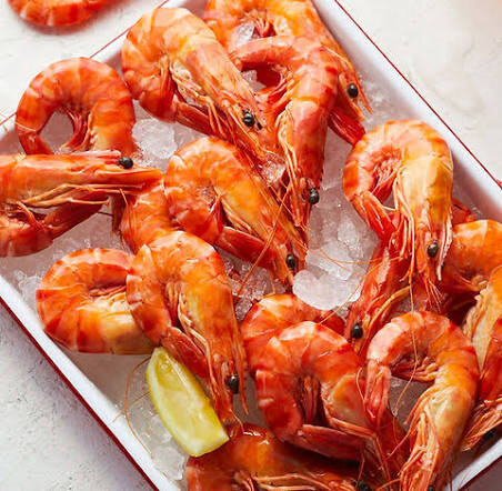 western-rock-lobster-live Western Rock Lobster (live) (Bulk) - Image 1